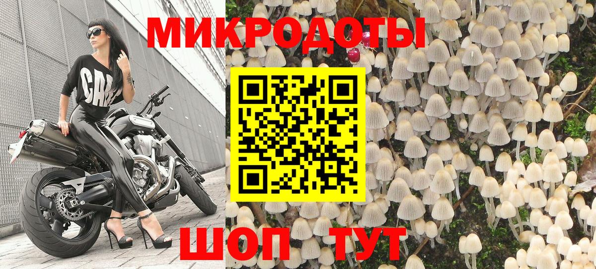 Псилоцибиновые грибы Psilocybine cubensis Можайск